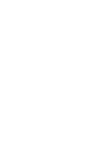 VANTORRI emblem